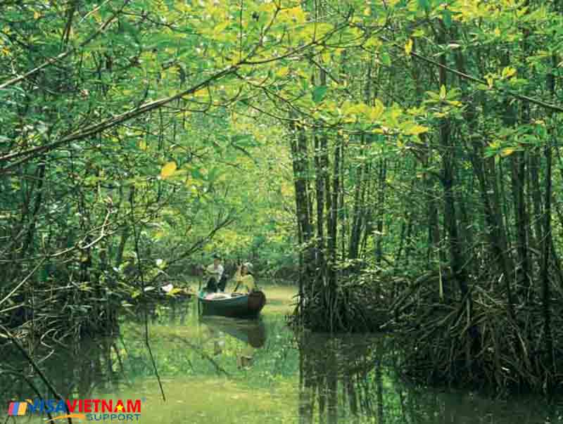 cần giờ
