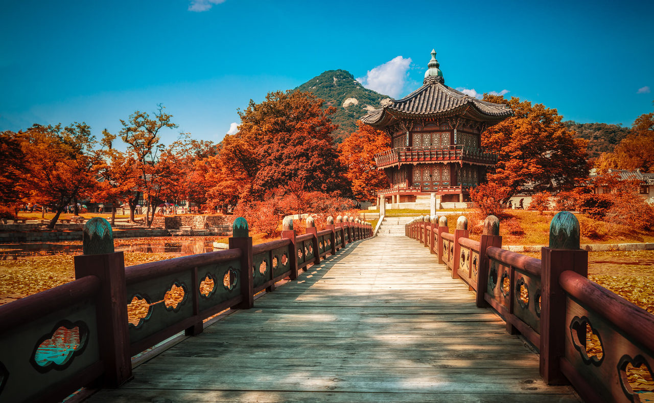 Visavietnamsupport mách bạn kinh nghiệm du lịch Hàn Quốc theo tour