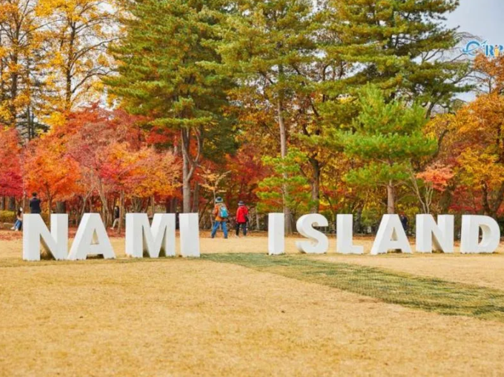 Đảo Nami – Điểm đến lãng mạn nổi tiếng của Hàn Quốc