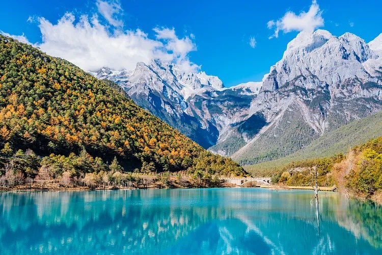 Vân Nam Mùa Hoa Cải Nào Đẹp Nhất? Thời Điểm Vàng Nhuộm Cả Thung Lũng